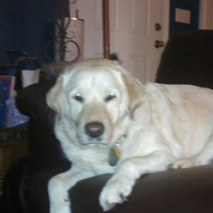 Meet your Posher, Tucker